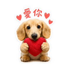 奶油臘腸草草
