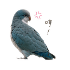 Mini小皮蛋