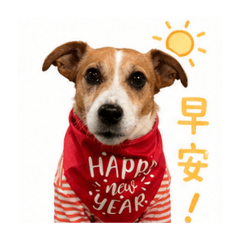 mydog98