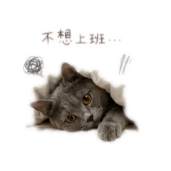 Q比的不想上班日常貼圖