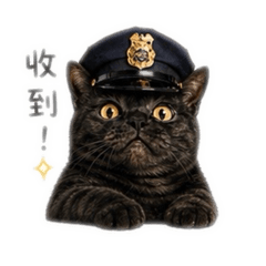 摳ㄙ摳。