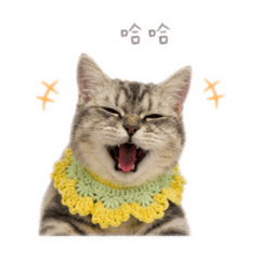 咻咪shumi