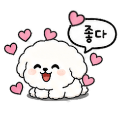 Squishy Tofu's Daily Life