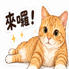 mixed-breed stray cats