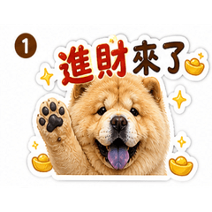 進財來了！招財鬆獅日常必備貼圖