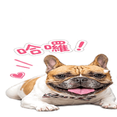 Boogi*