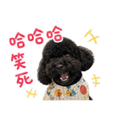 歐巴-日常用語