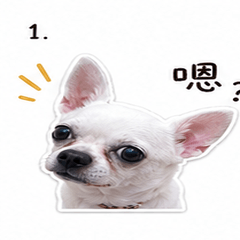 Dodo the Little Angel
