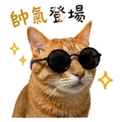 伍吉日常｜橘貓實用貼圖