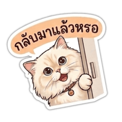 little box_20260503131433