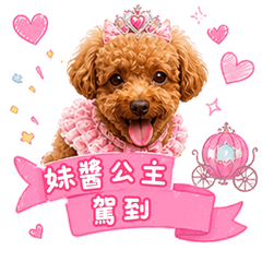 妹醬公主駕到｜可愛快樂小狗日常