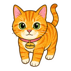 NungNung the Orange Tabby