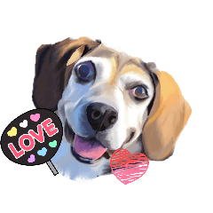 Dog Portraits