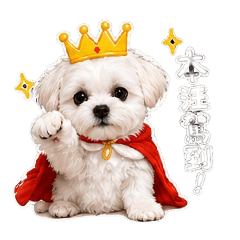 小Boy雪寶