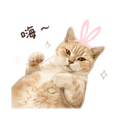 小豆妹妹