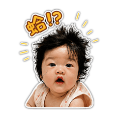 Fei的日常1