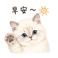 Taku（日常篇）