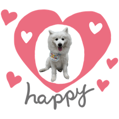 菱菱心情貼圖
