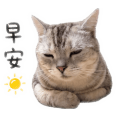 蛋蛋錢錢