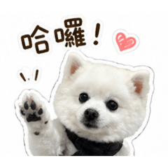 露比小可愛