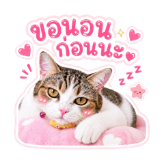 P'Jhony N'Jukku