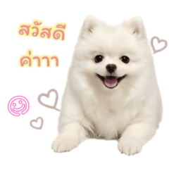 Oum Mii