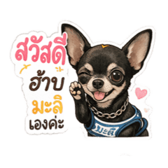 Pokky_malii20260428123047