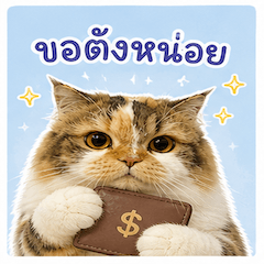 Cher Miumiu atliz