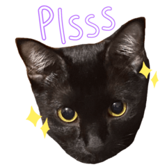 NeKuroCat