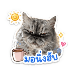 Gang3Saebshop_20260502073431