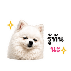 Udon V2