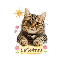 Shokunn_thecatt