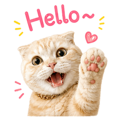 Bourbon The Cat V.1
