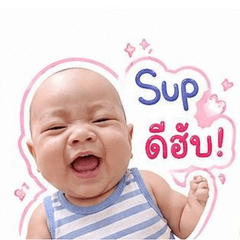 Supcub