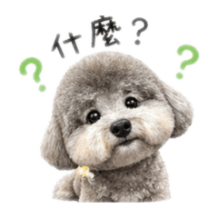 超Q姆姆