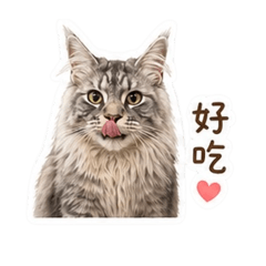 肥肥--