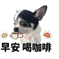 麻吉&咪娜的日常