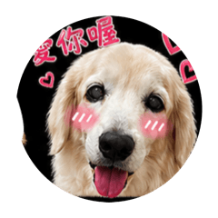 尼莫貼貼
