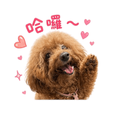 夢裡都有你