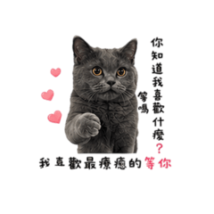 福福生活日常