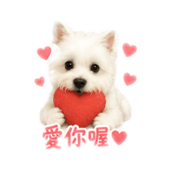 小寶貝Latte