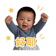 小貢丸（日常用）