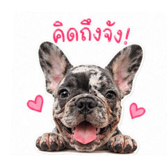 Chang-leo_20260428122638
