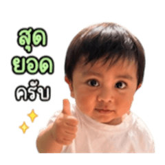 Chesterkub_20260428122744