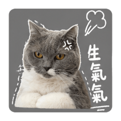 ㄚ妞好可愛