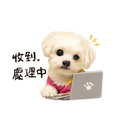 D肉上班中