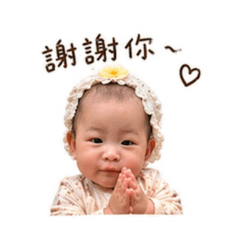 芝麻卡哇伊篇
