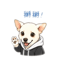 最愛妮妮