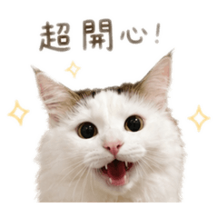 炭炭的專屬貼圖