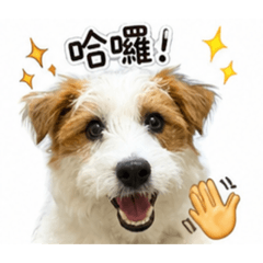 嚕嚕胖卡